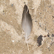 James Bellucci's photo