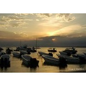 Daramis Abreu's photo