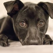 Michelle Snyder's photo