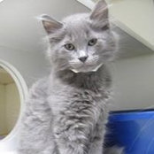 Kathy Galland's photo