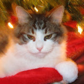 Kathy Mccurdy's photo