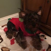 Melissa Gardner's photo