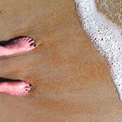 Lisa Allen's photo