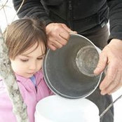 David Michaud's photo