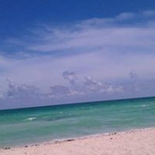Foto de Tamiko Mitchell