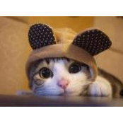 Rhea Imperio's photo