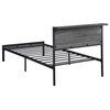 Coaster Ricky Contemporary Metal Twin Platform Bed with Headboard in Gray/Black