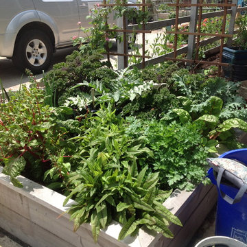 Vegetable & Herb Gardens