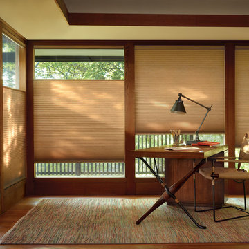 Duette Honeycomb Shades