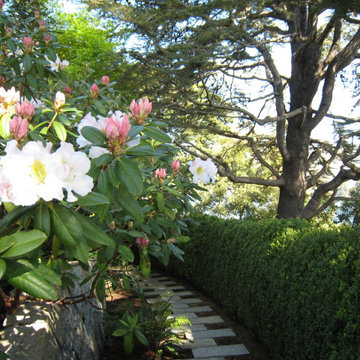 Locksley Hall