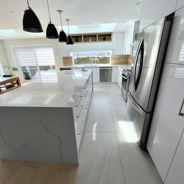 Modern kitchen renovation