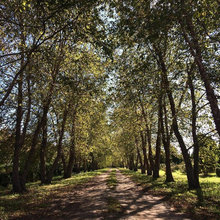 road