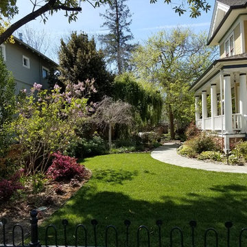 Santa Clara Victorian Side yard