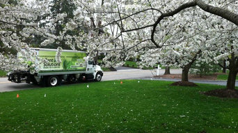 Plant Solutions Tree and Lawn service