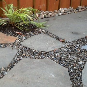 Shirlington Back Yard