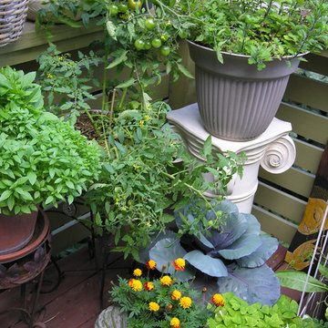 Container plantings and Edible container plantings | Artistry Landscaping Design