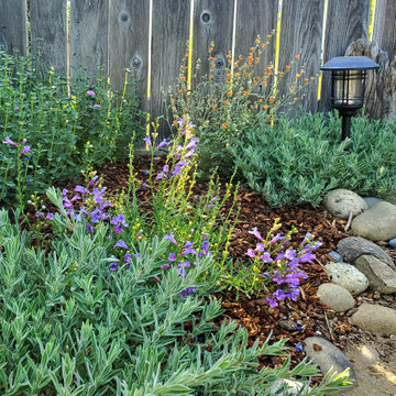 A Native & Herb Garden to Stroll Through