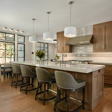 Luxury Masculine Remodel
