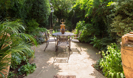 Pro Tips for Creating a Sense of Seclusion in Your Garden