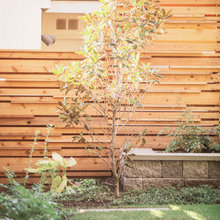 Fence