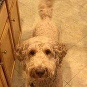 Tanya Masiello's photo