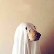 Cecile Soave's photo