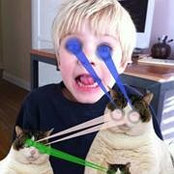 Paul Heimstadt's photo