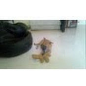 Pradeep Reddy's photo