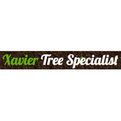 Xavier Tree Specialist
