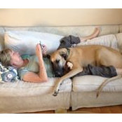Loree York's photo
