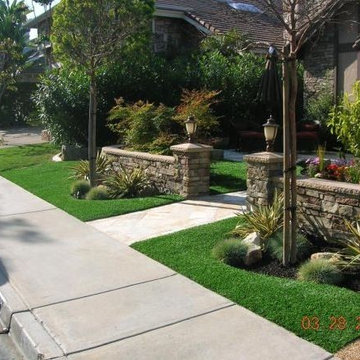 Front Yard