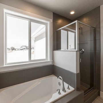 Roanoke Master Bathroom Separate Tiled Shower and Tub