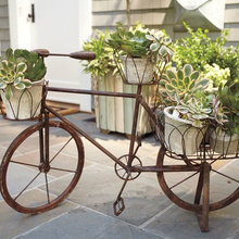 Garden/Outdoor