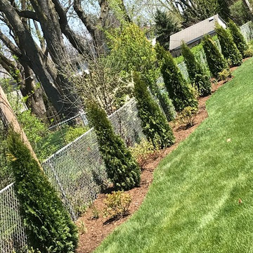 Backyard and front yard new home owners