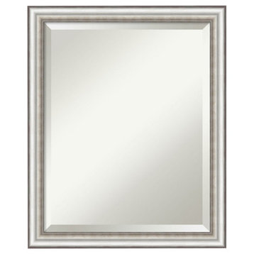 Salon Silver Narrow Beveled Bathroom Wall Mirror - 18.5 x 22.5 in.