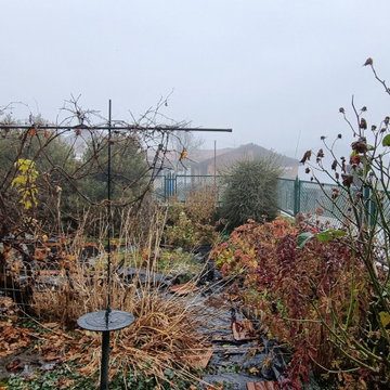 Giardino Country