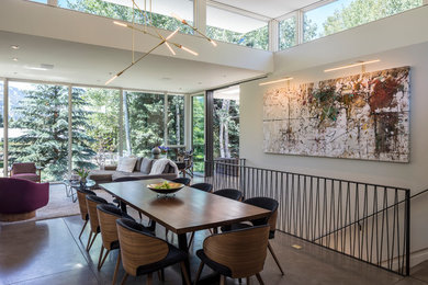 Inspiration for a contemporary concrete floor dining room remodel in Denver