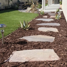 Drought Tolerant Landscape