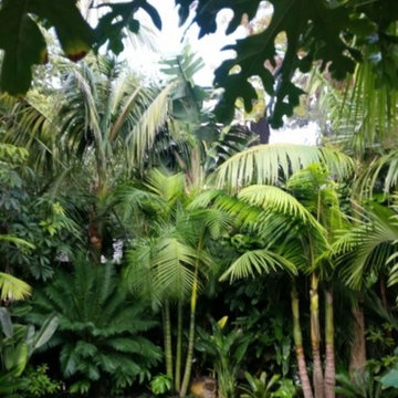 Balinese And Subtropical Gardens