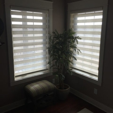 Allure Transitional Shades