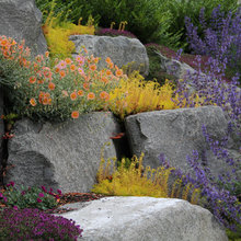 Patio Ideas
