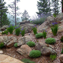 Lomax Landscaping
