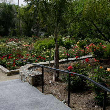 Henry Kroeger's Rose Garden