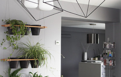 10 Style-Boosting Design Ideas for Your Indoor Plants