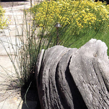 Driftwood Artifact and Meadow Plantings, Front Yard