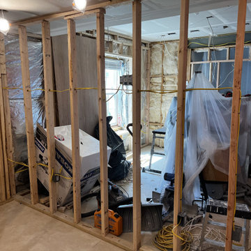 Basement Remodel