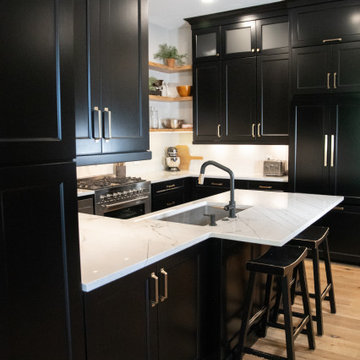 Sophisticated Black & White Kitchen