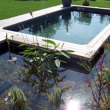 Piscine biologique