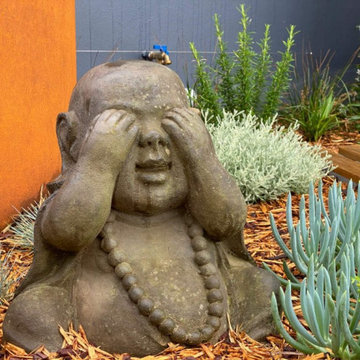 Coastal garden design - Dover Heights