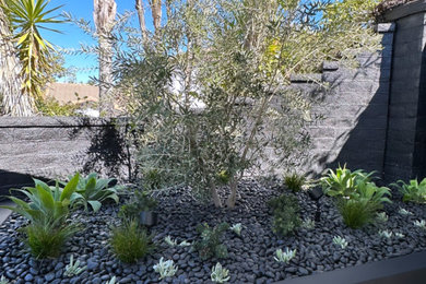ロサンゼルスにあるトランジショナルスタイルのおしゃれな庭の写真